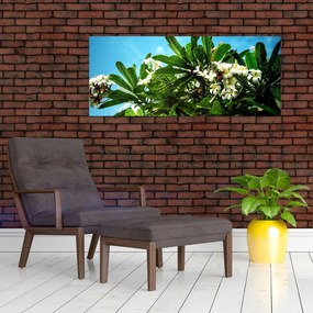 Kép - Plumeria (120x50 cm)