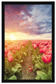 Poszter napkelte tulipánok felett