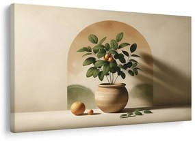 Kép citrus harmónia