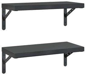 2 db fekete rozsdamentes acél fali polc 50 x 23,5 cm