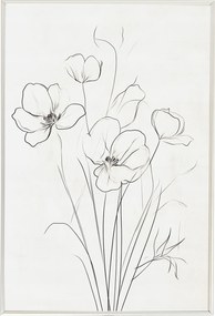 Poszter Keret Alumínium Grafika Line Art Rajz Vázlat Pipacs Virágok 40x60