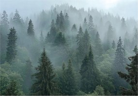 Fotótapéta erdő a ködben fák zöld szürke hegyi táj 415 x 290