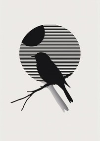 Poszter 29,7x42cm Kontraszt KarcsĂșsĂĄg