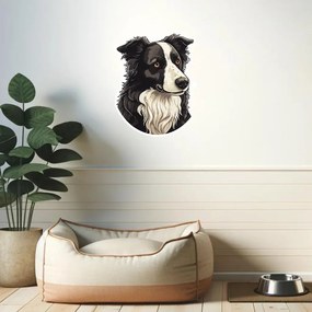 PIPPER. Matrica Border collie Méret: 60cm