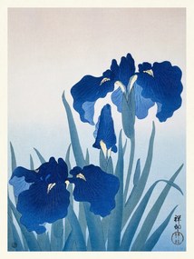 Festmény reprodukció Blue Iris Flowers (Japandi Vintage) - Ohara Koson, (30 x 40 cm)