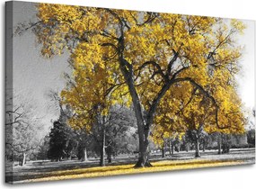 Vászonkép Fekete fák Sárga levelek 100x60 cm Ideális ajándék
