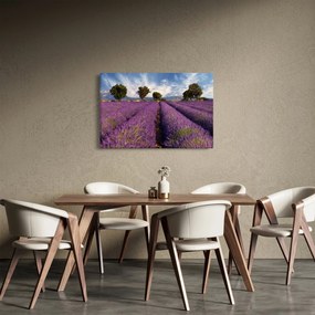 Kép - Levendula mező és hegyek (90x60 cm)