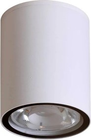 ITALUX OPN-2006-4K FANO Modern Kültéri Mennyezeti Lámpa LED IP54