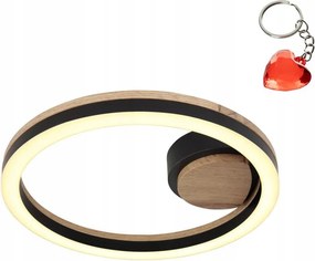 Led mennyezeti lámpa 12W Beatrix 67298D Globo