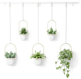 Triflora fali virágtartó 5db-os fehér, sárgaréz