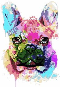 Festés számok szerint kép kerettel "Francia bulldog 2" 40x50 cm