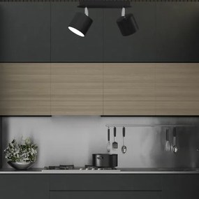 Spotlámpa DIXIE 2xGX53/11W/230V fekete