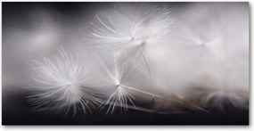 Konyhai panel Pitypang mag 120x60 cm Ragasztó