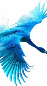 Poszter 50x100cm Kék repülés