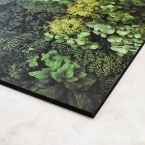 DUBLEZ | Nyomtatott moha kép a falra