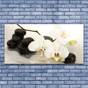 Vászonkép falra Szép virág orchidea 100x50 cm