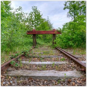 Poszterek 100x100 Vasút Vonatok Sínek