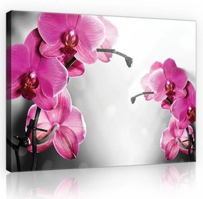 Orchideák, vászonkép, 60x40 cm méretben