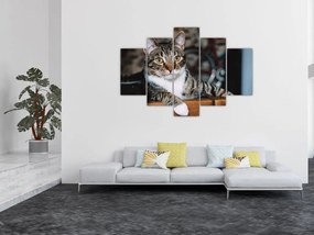 Macska képe (150x105 cm)