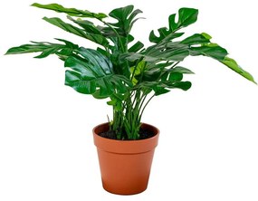 Monstera műnövény