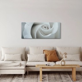 Kép - Fehér rózsa (120x50 cm)