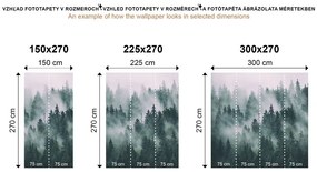 Fotótapéta ösvény a Grand Canyonon keresztül