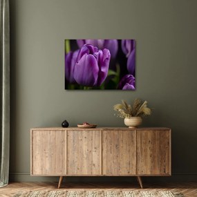 Tulipán vírág képe (70x50 cm)