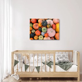 Üveg kép - Tök (70x50 cm)