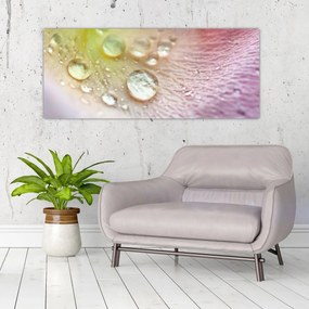 Kép - Harmatcseppek (120x50 cm)