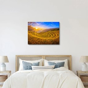 Kép - Rizs teraszok Vietnamban (70x50 cm)