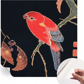 Öntapadós tapéta Fali furnér 3D hatás Egzotikus madár 250x250 cm