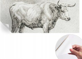 Öntapadós Dekoratív Fotótapéta Hálószobába Bika ceruza 250x104 cm
