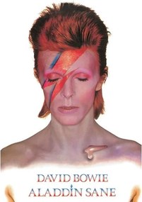 Plakát David Bowie - Aladdin Sane, (61 x 91.5 cm)
