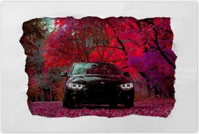 Poszterek 120x80 Fekete Bmw Ősz