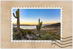 Poszterek 90x60 Kaktuszok a sivatagban