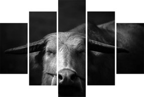 Kép - Tehén (150x105 cm)