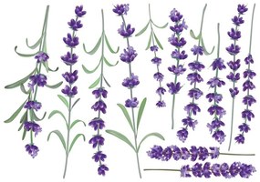 Levanders falmatrica szett - Ambiance