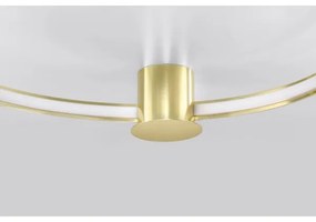 Thoro TH.252 - LED Mennyezeti lámpa RIO LED/50W/230V CRI90 3000K átm. 78 cm arany