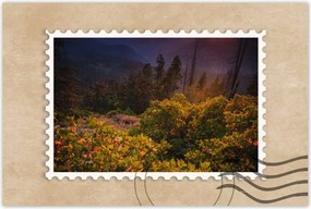 Poszterek 120x80 Kilátás Tájkép