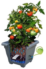 Plastia Bergamot önöntöző virágtartó 30 x 30 cm barna