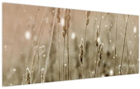 Kép - Harmonikus rét (120x50 cm)