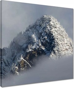 Vászonkép 40x40 Tél Hegy Hó Köd