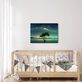 Az éjszakai égbolt képe (70x50 cm)