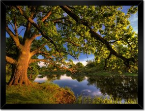Poszterek keretben 40x30 Tölgy a croissant-ban