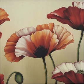 Fotótapéta Dekoratív Fali Tapéta Képekkel Vidám pipacsok 250x250