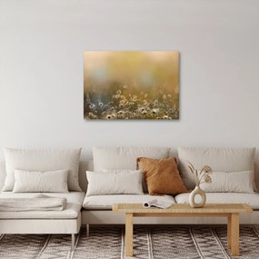 Kép - százszorszép olajfestmény (70x50 cm)