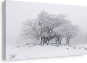 Kép - fehér tél (90x60 cm)