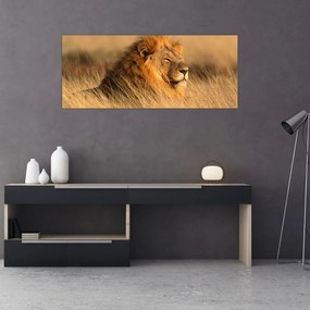 Kép - Etosha Nemzeti Park (120x50 cm)