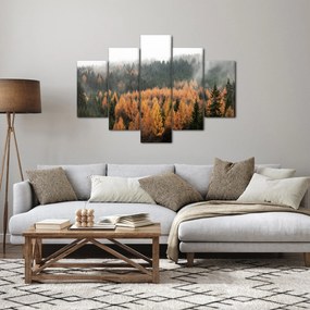 Kép - őszi erdő (150x105 cm)