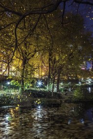 Poszter 20x30cm Esti kilátás a New York-i Central Parkra 7, Assaf Frank